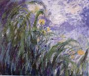 Yellow Irises Claude Monet